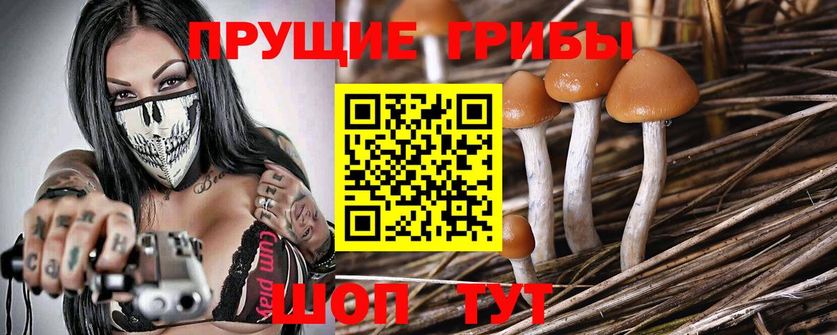 Псилоцибиновые грибы MAGIC MUSHROOMS Кохма